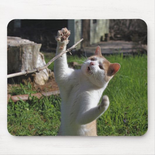 Woest Roofdier Muismat (Voorkant)