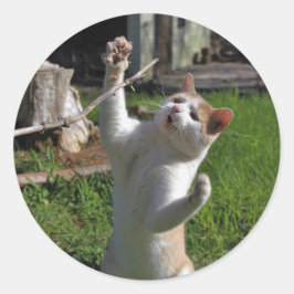 Woest Roofdier Ronde Sticker