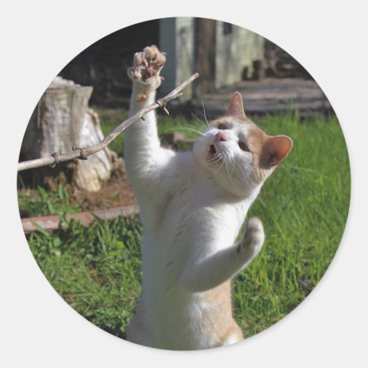 Woest Roofdier Ronde Sticker (Voorkant)