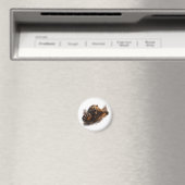 Woeste berenaanval – Power Animal Design Magneet (Insitu (Vaatwasser))