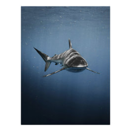 Woeste Oceaan Roofdier – Haai Perfect Poster