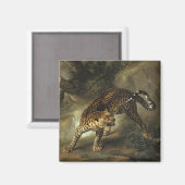 Woeste Wilde Luipaard (door Jean-Baptiste Oudry) Magneet (Voorkant / Achterkant)