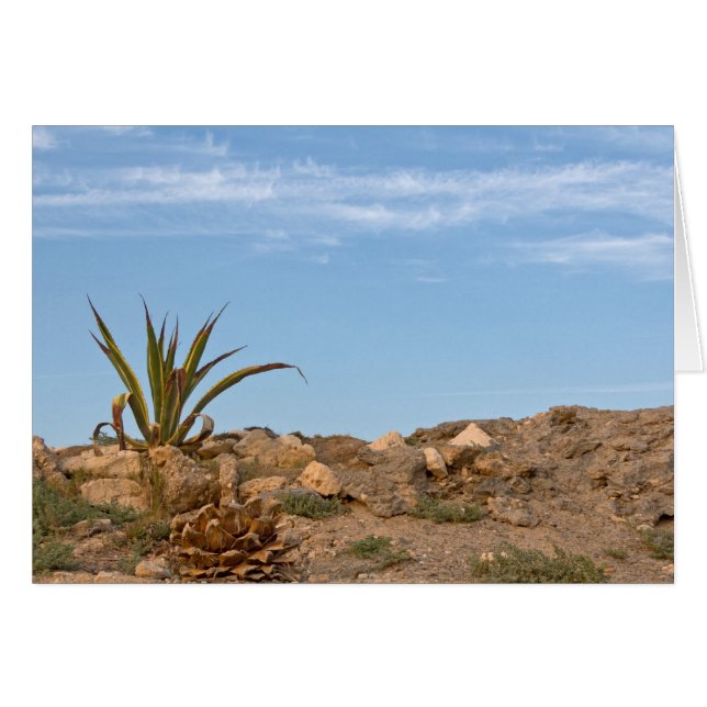 woestijn (Voorkant Horizontaal)