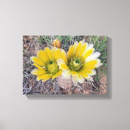 Woestijn Bloeit Canvas Afdruk