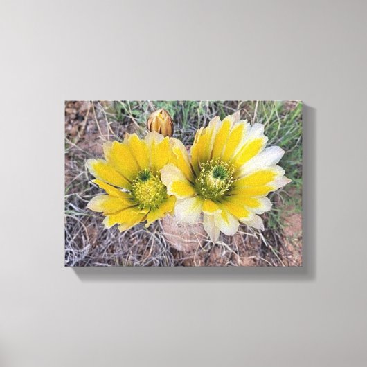 Woestijn Bloeit Canvas Afdruk (Voorkant)