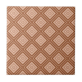 Woestijn Blush Afrikaanse Terracotta Geometrisch Tegeltje