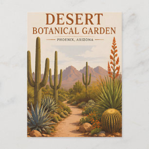 Woestijn Botanische Tuin Arizona Cactus Landschap Briefkaart
