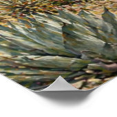 Woestijn Botanische Tuin Cactus & Succulenten Poster (Hoek)