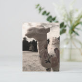 woestijn briefkaart (Staand voorkant)