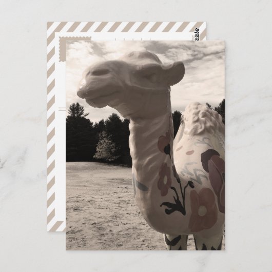 woestijn briefkaart (Voorkant / Achterkant)