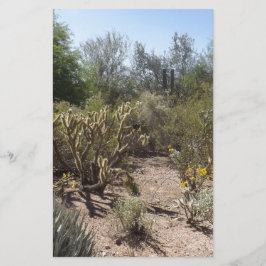 woestijn briefpapier