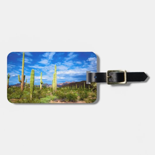 Woestijn cactus landschap, Arizona Bagagelabel (Voorkant horizontaal)