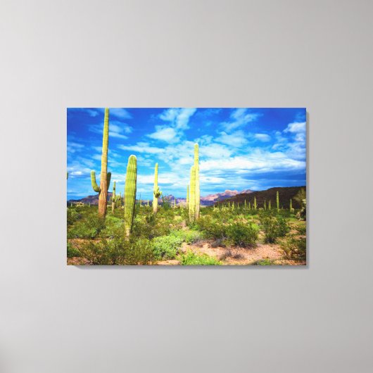 Woestijn cactus landschap, Arizona Canvas Afdruk (Voorkant)
