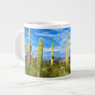 Woestijn cactus landschap, Arizona Grote Koffiekop