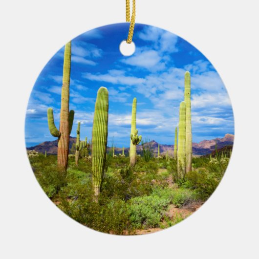 Woestijn cactus landschap, Arizona Keramisch Ornament (Voorkant)