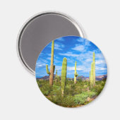 Woestijn cactus landschap, Arizona Magneet (Voorkant / Achterkant)