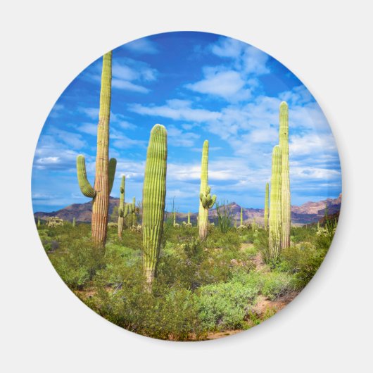 Woestijn cactus landschap, Arizona Magneet (Voorkant)