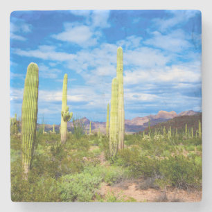 Woestijn cactus landschap, Arizona Stenen Onderzetter