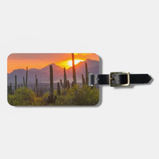 Woestijn cactus zonsondergang, Arizona Bagagelabel (Voorkant horizontaal)