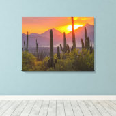 Woestijn cactus zonsondergang, Arizona Canvas Afdruk (Insitu (Houten vloer))