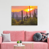 Woestijn cactus zonsondergang, Arizona Canvas Afdruk (Insitu (Woonkamer))