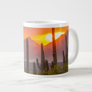 Woestijn cactus zonsondergang, Arizona Grote Koffiekop