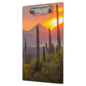 Woestijn cactus zonsondergang, Arizona Klembord (Links)