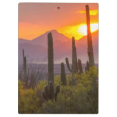 Woestijn cactus zonsondergang, Arizona Klembord (Achterkant)