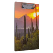Woestijn cactus zonsondergang, Arizona Klembord (Rechts)
