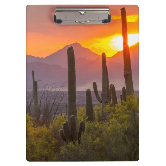 Woestijn cactus zonsondergang, Arizona Klembord (Voorkant)