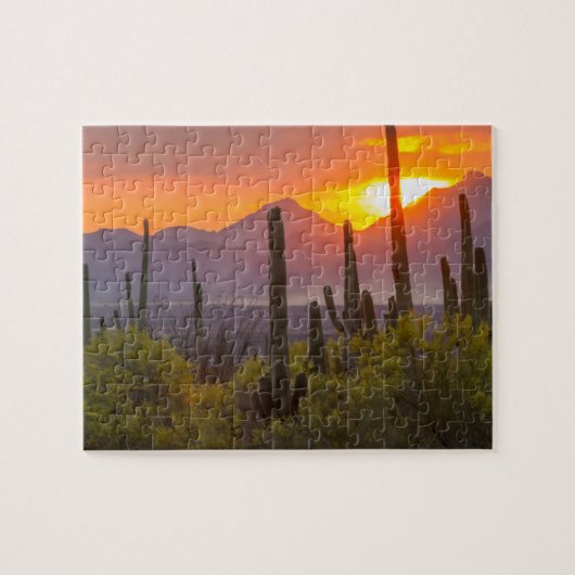 Woestijn cactus zonsondergang, Arizona Legpuzzel (Horizontaal)