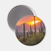 Woestijn cactus zonsondergang, Arizona Magneet (Voorkant / Achterkant)