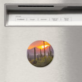 Woestijn cactus zonsondergang, Arizona Magneet (Insitu (Vaatwasser))
