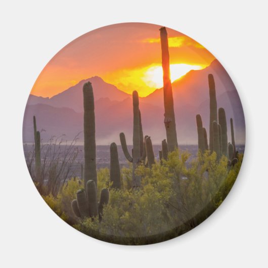 Woestijn cactus zonsondergang, Arizona Magneet (Voorkant)