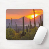 Woestijn cactus zonsondergang, Arizona Muismat (Met muis)