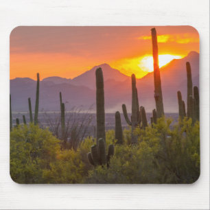 Woestijn cactus zonsondergang, Arizona Muismat