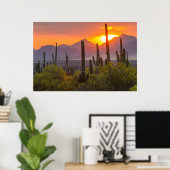 Woestijn cactus zonsondergang, Arizona Poster (Thuiskantoor)