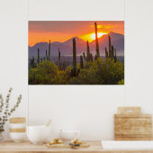 Woestijn cactus zonsondergang, Arizona Poster (Keuken)