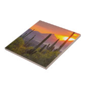 Woestijn cactus zonsondergang, Arizona Tegeltje (Zijkant)