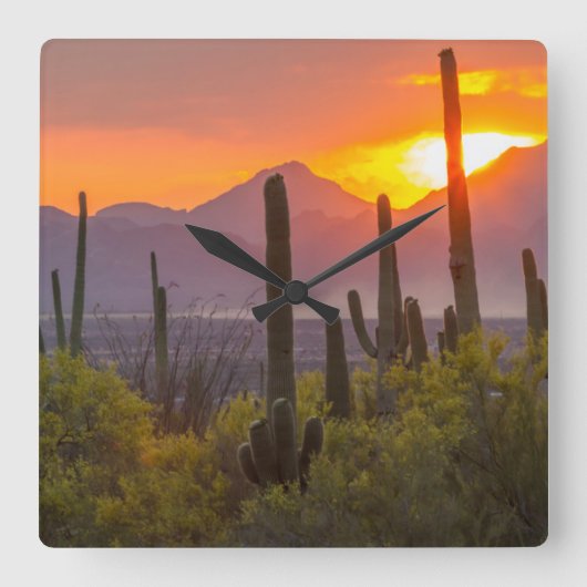 Woestijn cactus zonsondergang, Arizona Vierkante Klok (Voorkant)