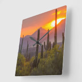 Woestijn cactus zonsondergang, Arizona Vierkante Klok (Hoek)