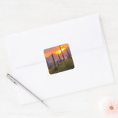 Woestijn cactus zonsondergang, Arizona Vierkante Sticker (Envelop)