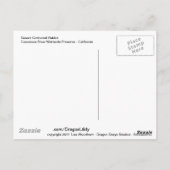 woestijn Cottontail Rabbit Briefkaart (Achterkant)