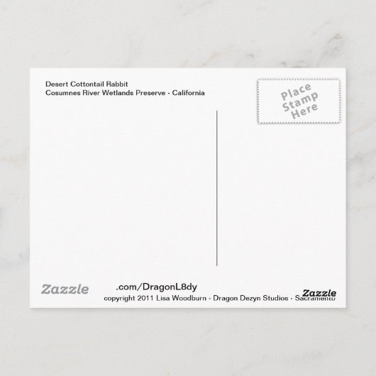 woestijn Cottontail Rabbit Briefkaart (Achterkant)