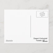 woestijn Cottontail Rabbit Briefkaart (Achterkant)