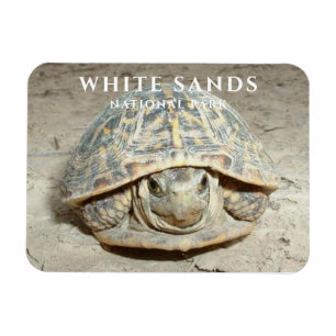 Woestijn doosschildpad White Sands National Park Magneet