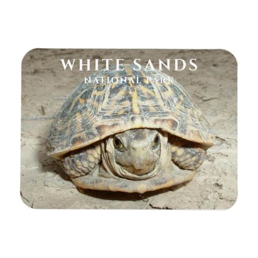 Woestijn doosschildpad White Sands National Park Magneet (Horizontaal)