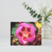 Woestijn Five Spot Wildflower Briefkaart (Staand voorkant)