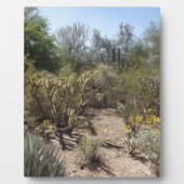 woestijn fotoplaat (Voorkant)