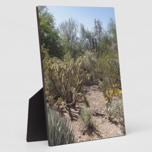 woestijn fotoplaat (Zijkant)